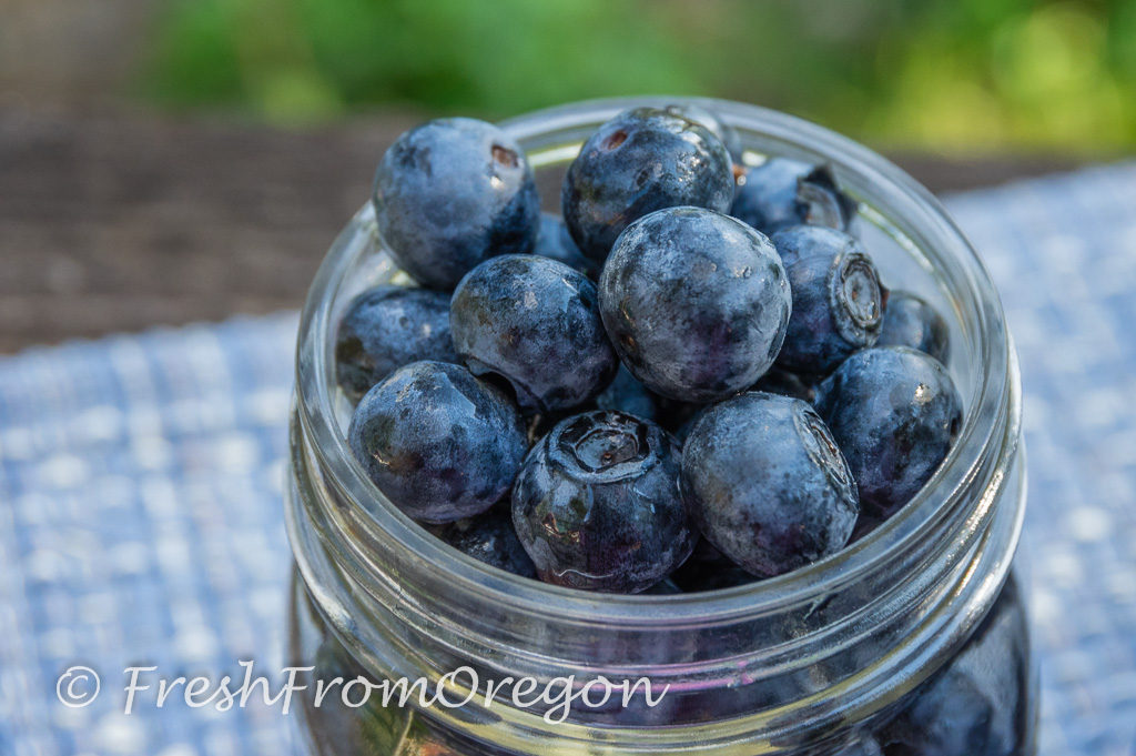 Blueberries in glass jar with a jar of blueberry sauce